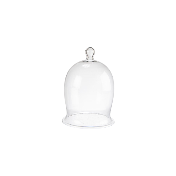 Cloche BELLA | transparente